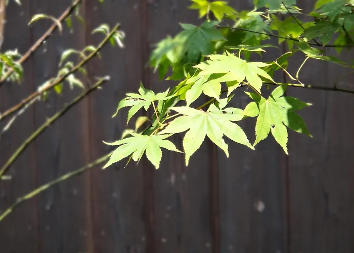 苍穹町家度假屋