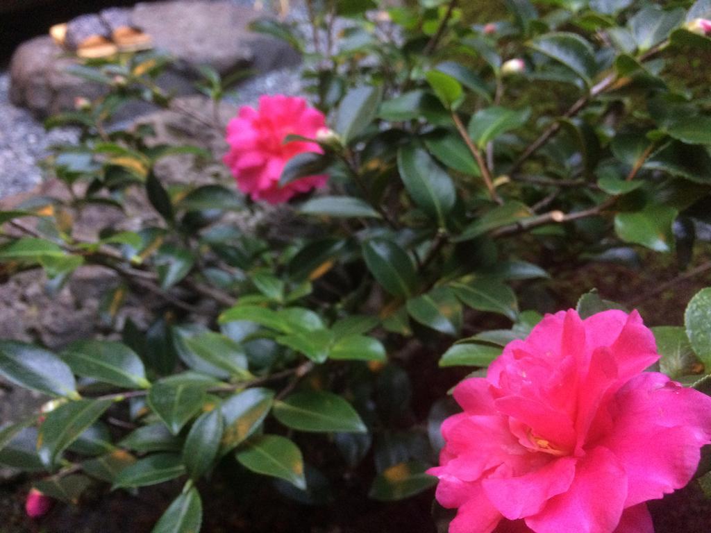 苍穹町家度假屋 度假居